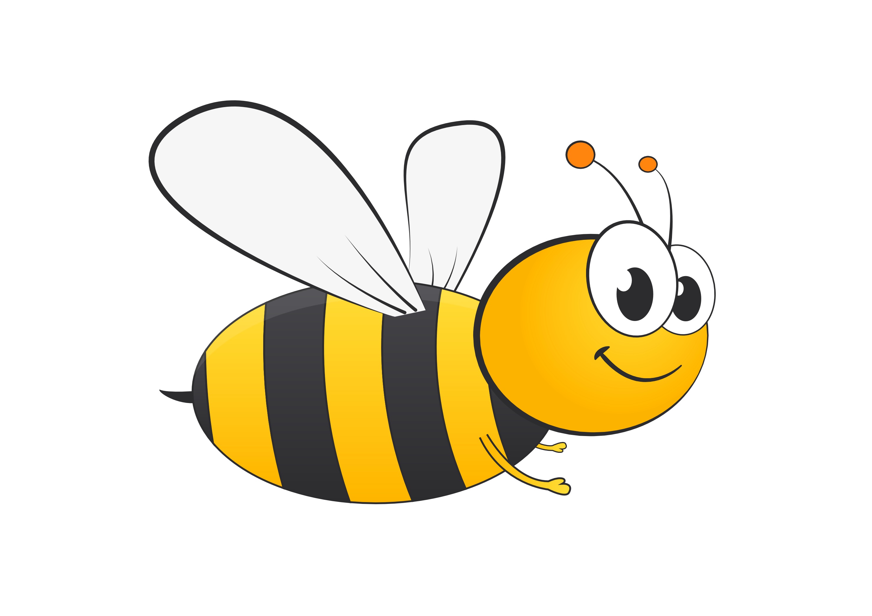 BZ BODIES logo