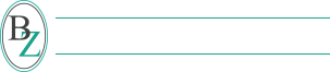 BZ CONSTRUCTION SERVICES, INC logo