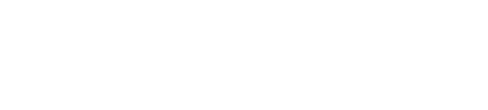 C B ELITE SERVICES LLC logo