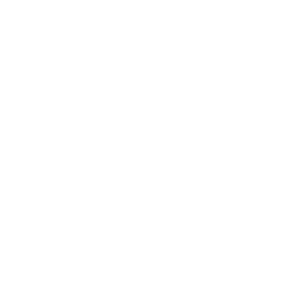 C N ASSOCIATES logo