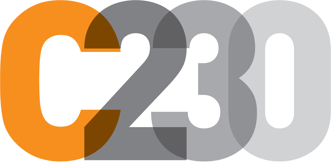 C230 CONSULTORES logo