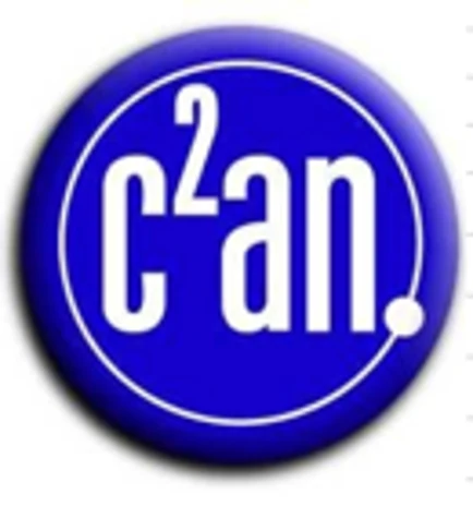 C2AN CONSULTING LLC logo