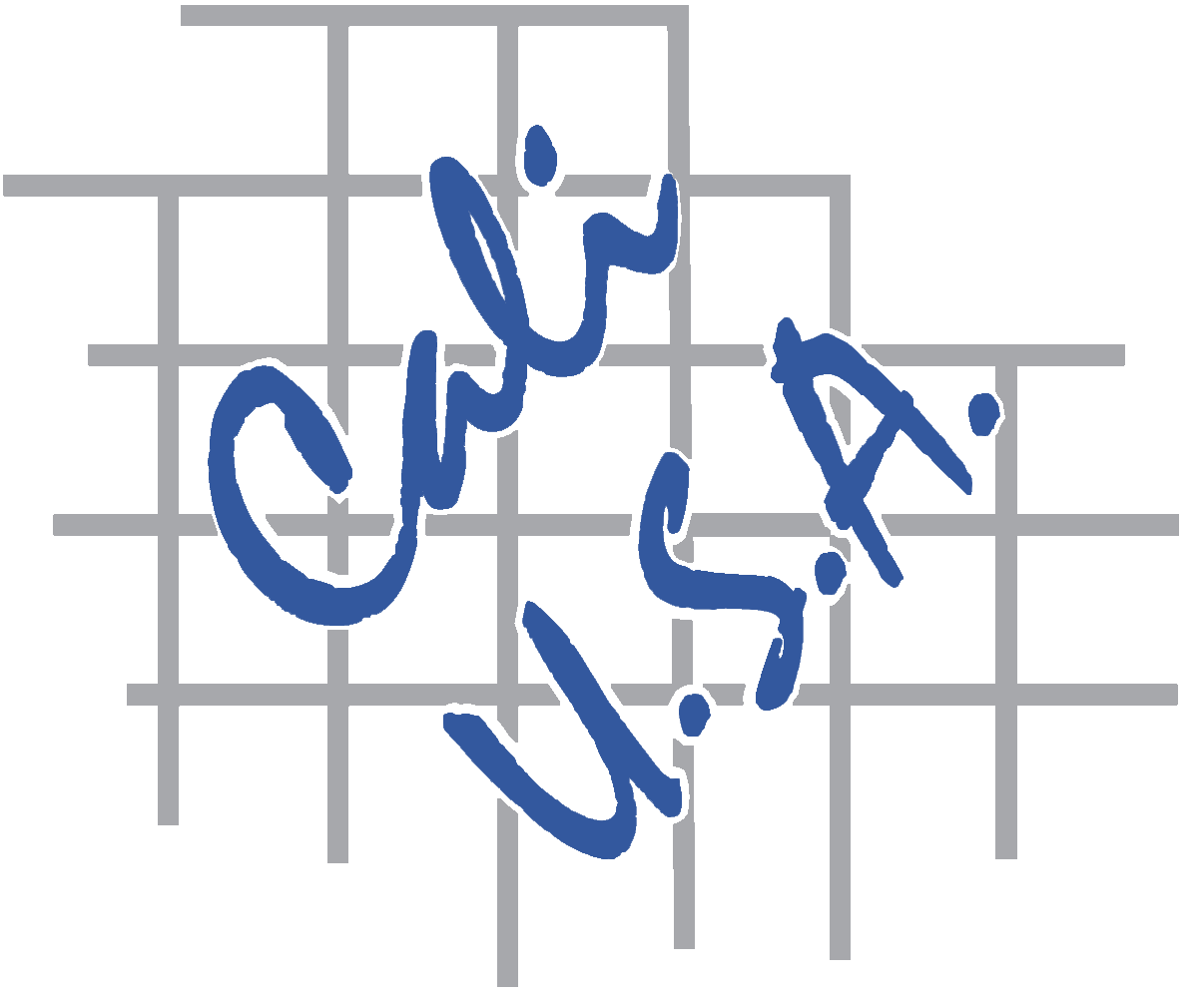 CALI-USA ACOUSTICS INC logo