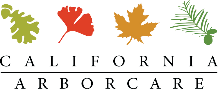 CALIFORNIA ARBOR CARE INC. logo