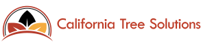 CALIFORNIA TREE SOLUTIONS logo