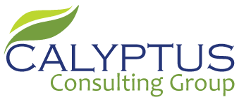 CALYPTUS CONSULTING GROUP, INC. logo