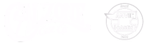 CALZONE LTD logo