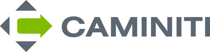 CAMINITI CONSULTING CO INC logo