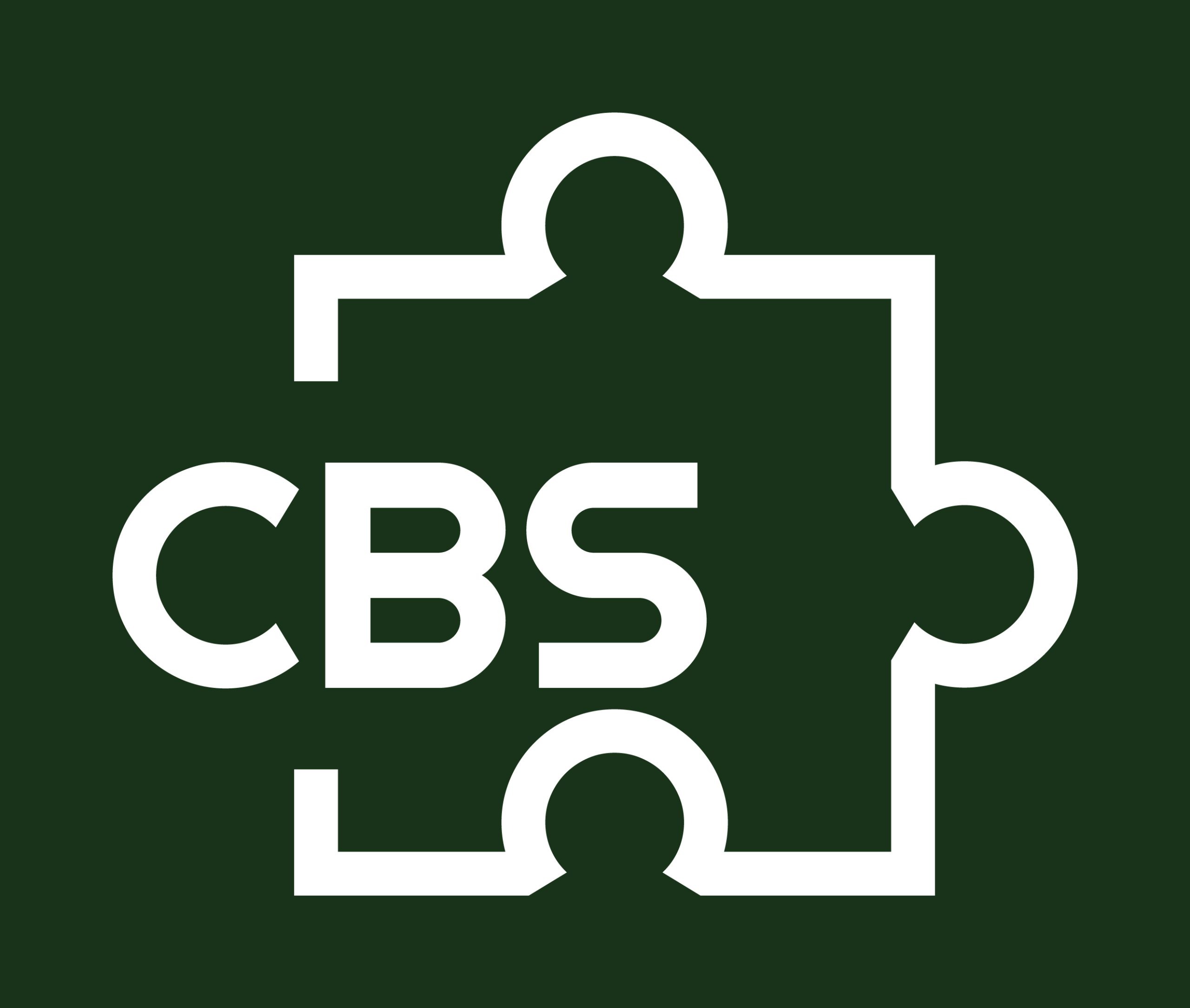 CAMMARATA BUSINESS SERVICES, LLC logo