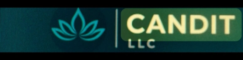 CANDIT LLC logo