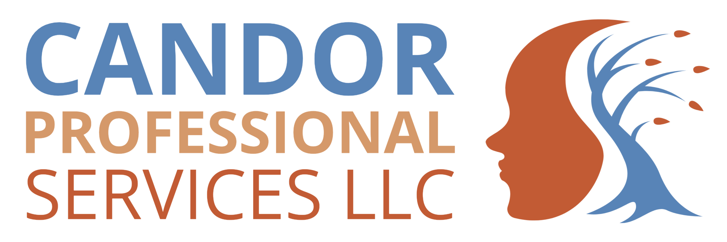 CANDOR PROFESSIONAL SERVICES LLC logo