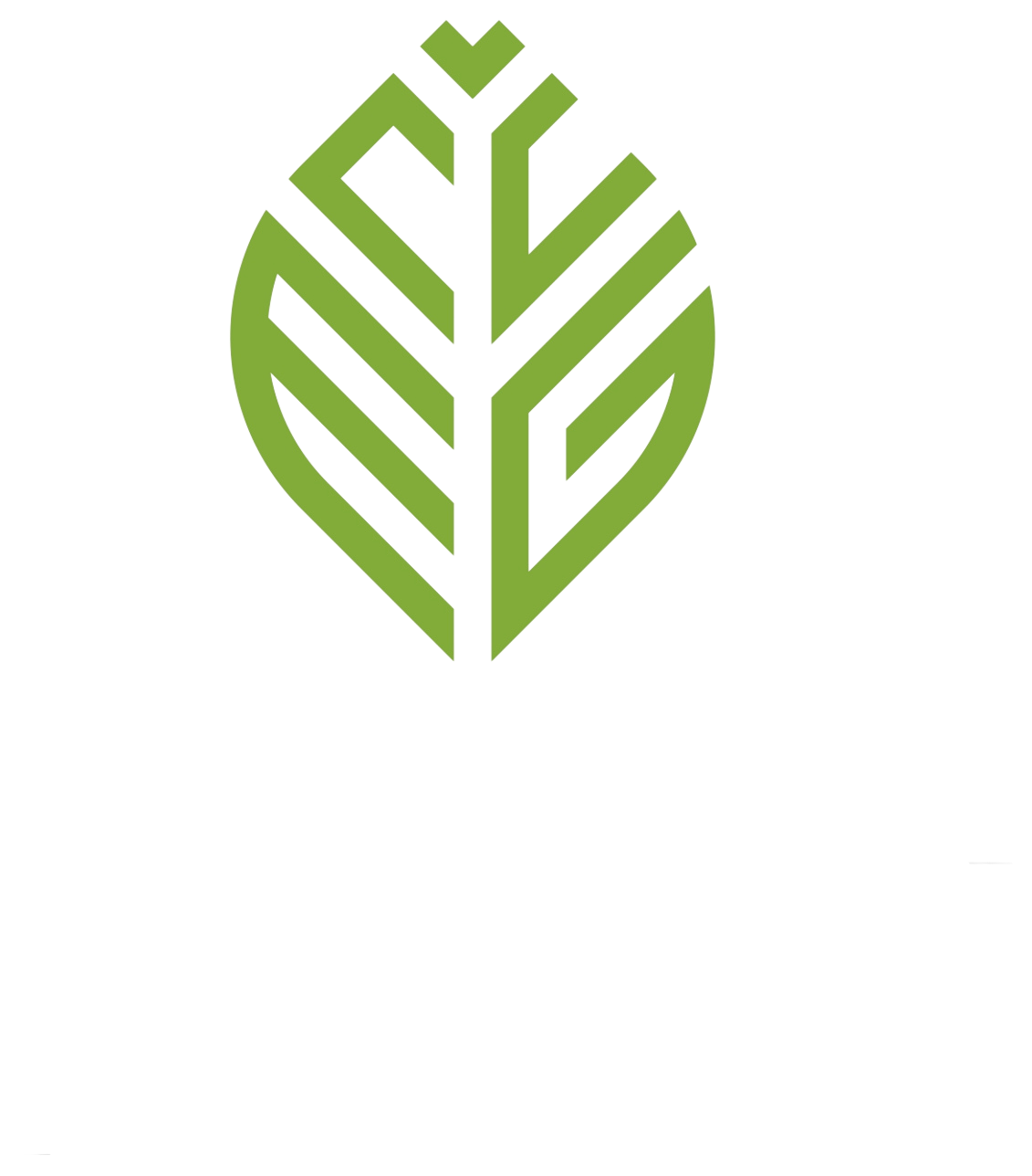 CANOPY MANAGEMENT CONSULTING GROUP LLC logo