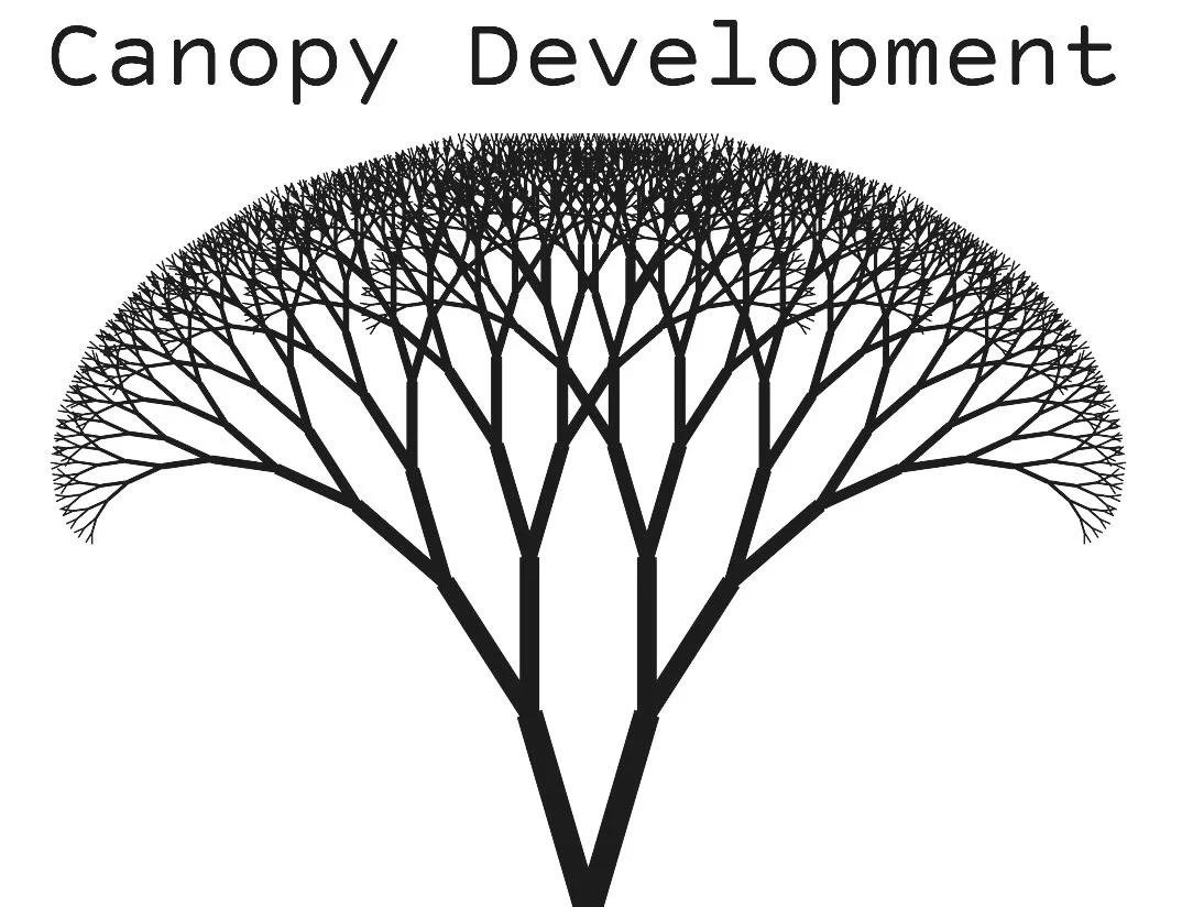 CANOPY PRODUCT DEVELOPMENT logo
