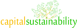 CAPITAL SUSTAINABILITY INC logo