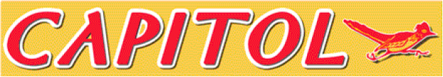 CAPITOL FORD, LLC logo