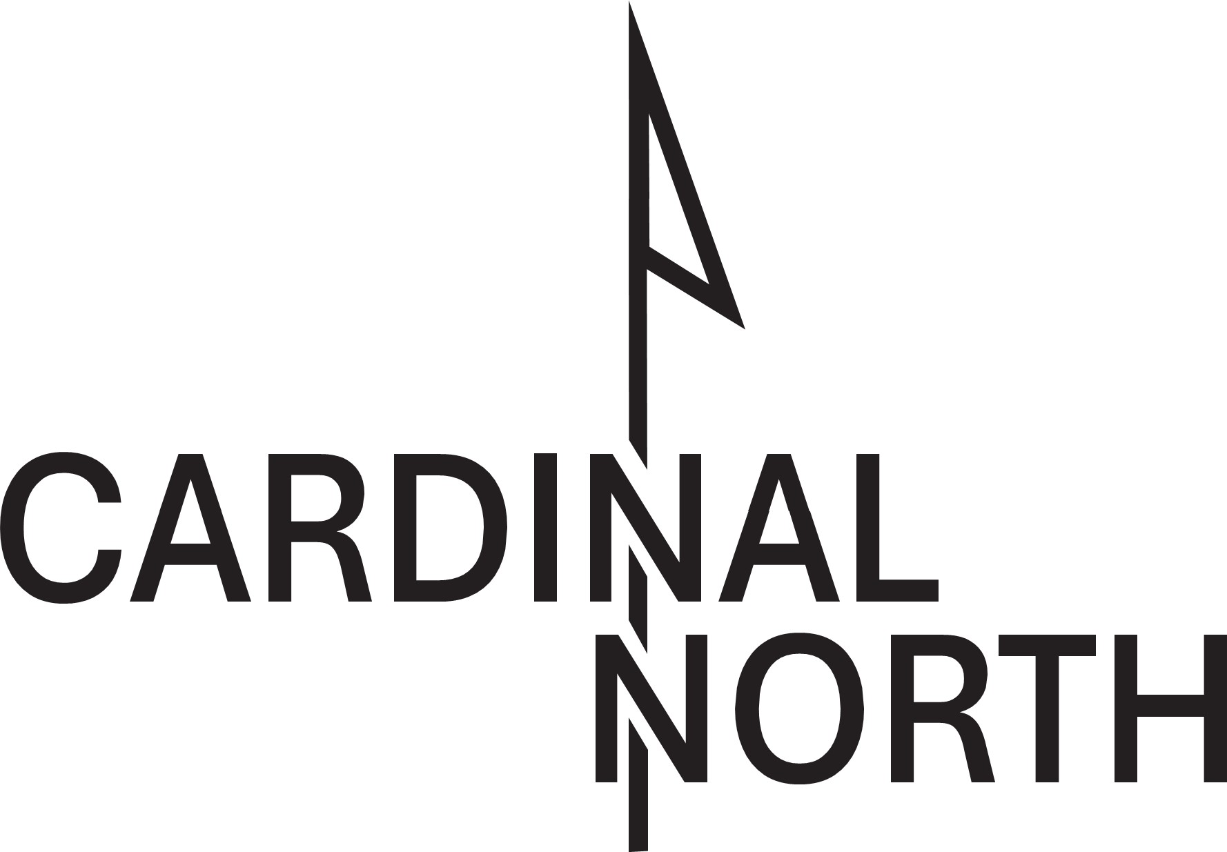 CARDINAL NORTH CONSULTING LLC logo