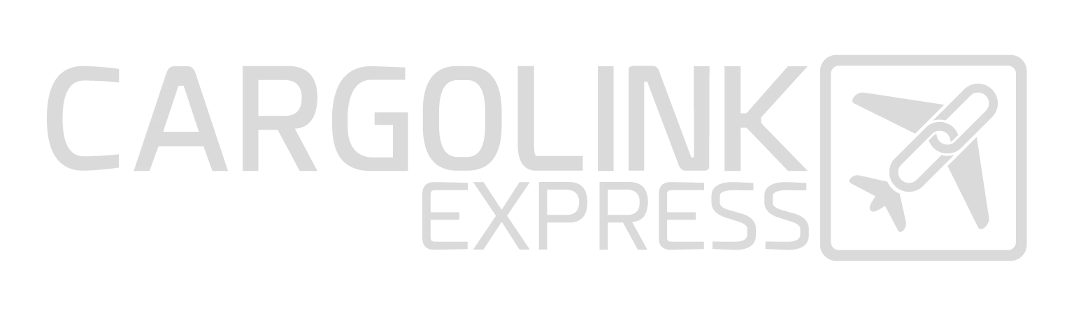 CARGO LINK GOVERNMENT SERVICES LLC logo