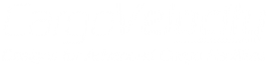 CARGO VELOCITY, INC. logo