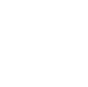 CARIBE INTERNATIONAL DMC logo