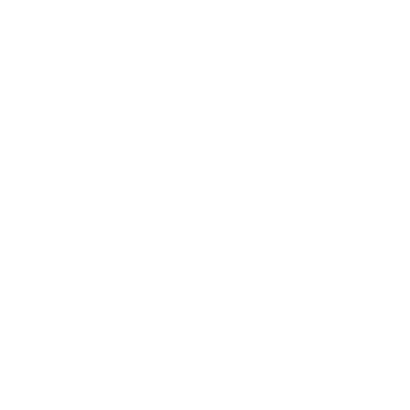 CARIBOU SERVICES INC logo