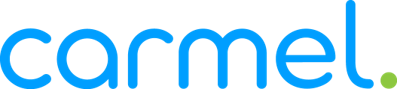 CARMEL SOLUTIONS LLC logo