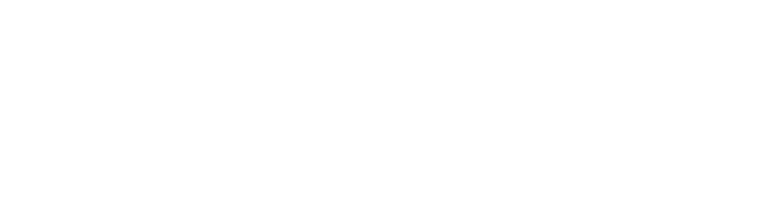 CAROLINA TEXAS DATA GROUP LIMITED CO logo