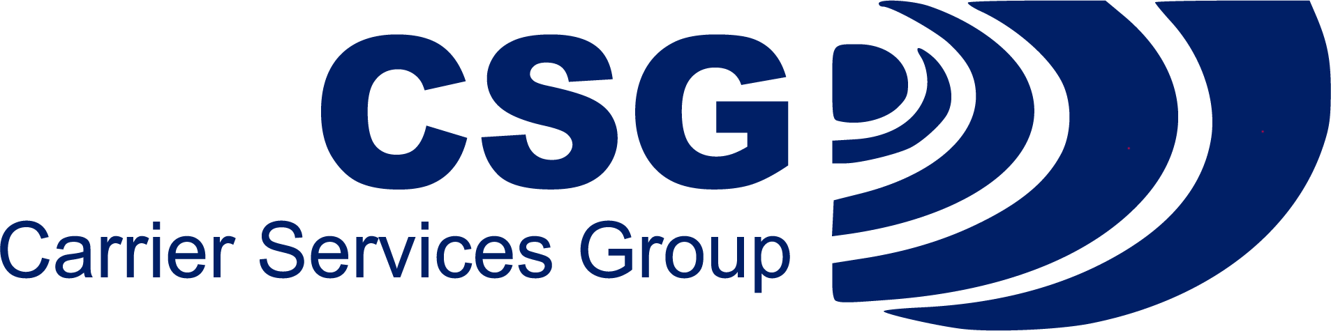 CARRIER SERVICES GROUP INC logo