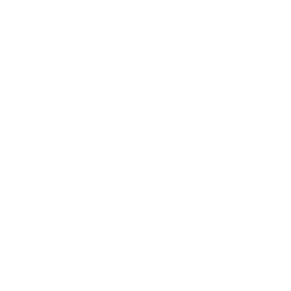 CARSON MANUFACTURING LLC logo
