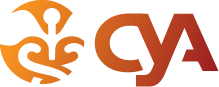 CARSTENS YEARLY ANALYSIS logo