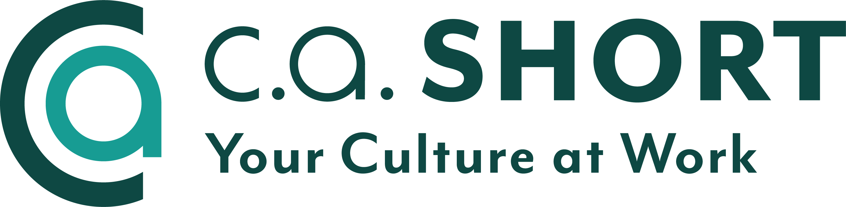 CASCO INTERNATIONAL, LLC logo