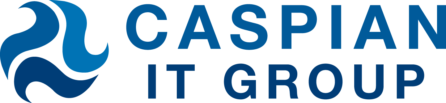 CASPIAN IT GROUP, LLC logo