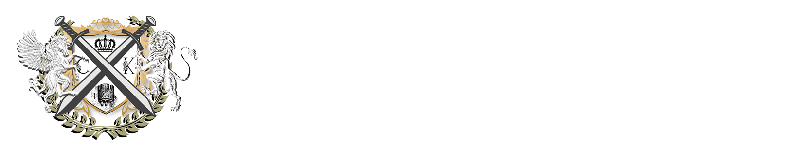 CASTLE AND KING LLC logo