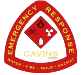CAVINS GROUP logo