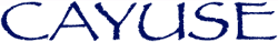 CAYUSE WINERY LLC logo