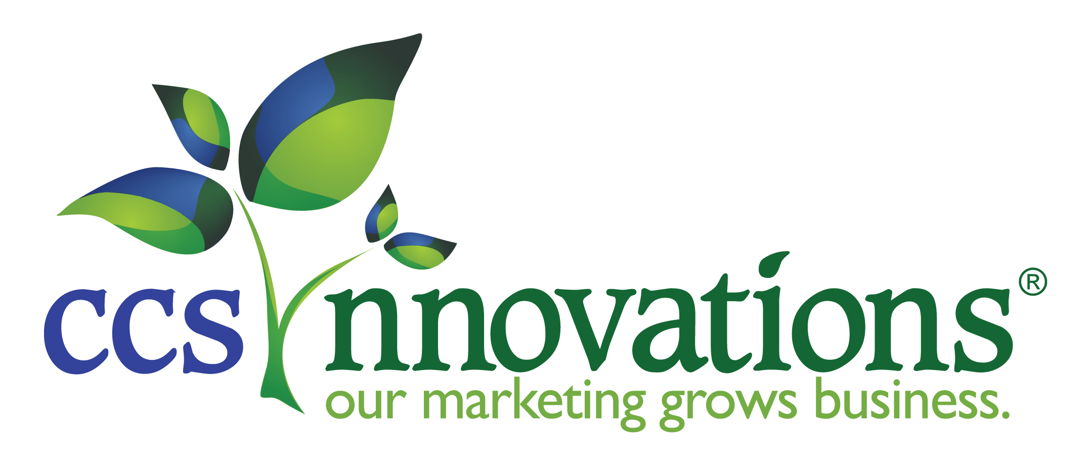 CCS INNOVATIONS, LLC logo
