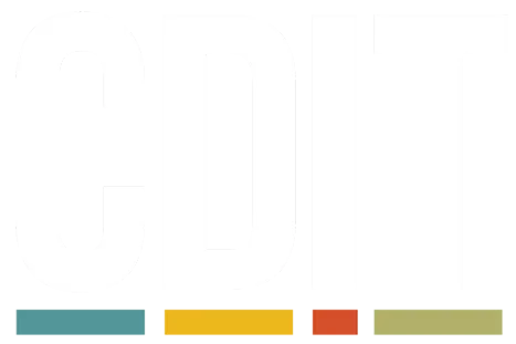 CDIT LLC logo