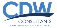 CDW CONSULTANTS INC logo