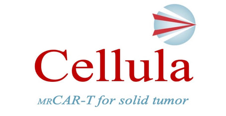 CELLULA BIOPHARMA, INC. logo