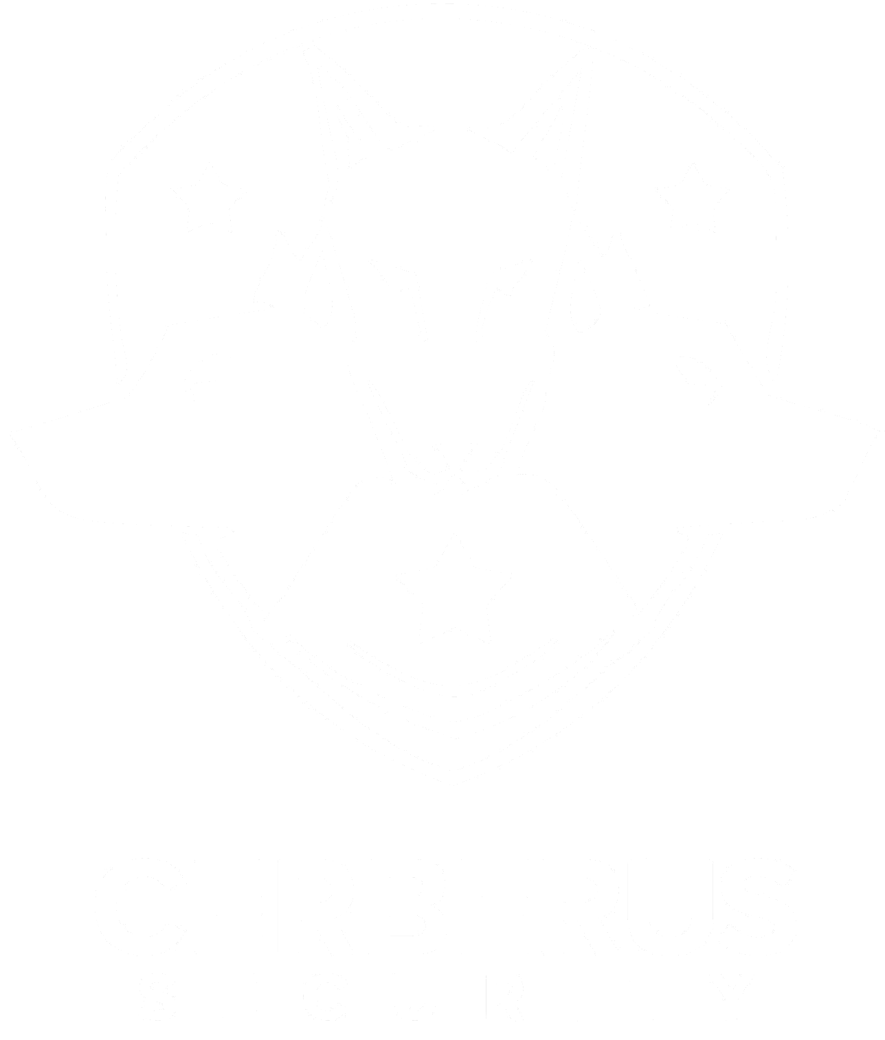 CERBERUS K9 SOLUTIONS LLC logo