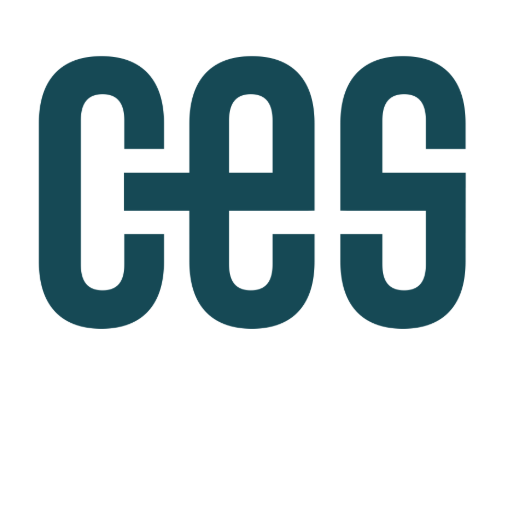 CES CONSULTANTS INC logo