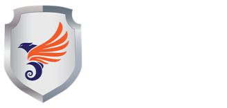 CHAMELEON EAGLE SECURITY SERVICES LLC logo