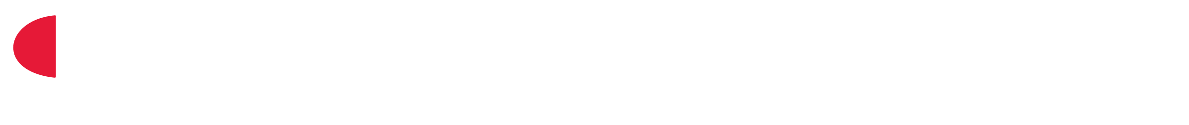 CHAMPION TEAMWEAR logo