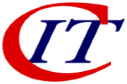 CHANNEL IT SERVICES, LLC logo