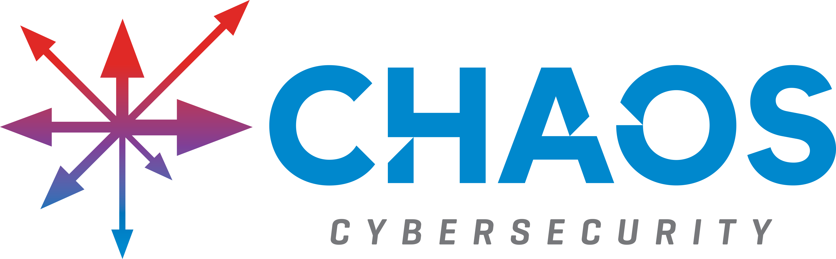 CHAOS CYBERSECURITY LLC logo