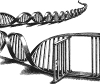 CHARLES H BRENNER logo