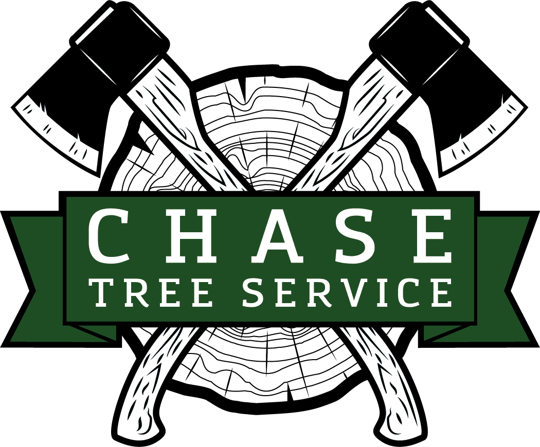 CHASE NETWORKS, LLC logo