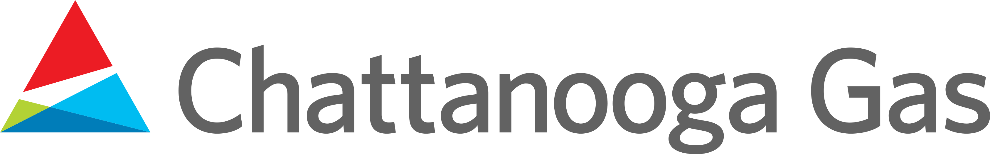 CHATTANOOGA GAS COMPANY logo