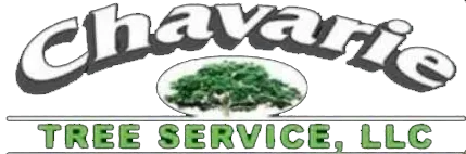 CHAVARIE TREE SERVICE LLC logo
