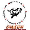 CHEETAH TOYS & MORE, LLC logo