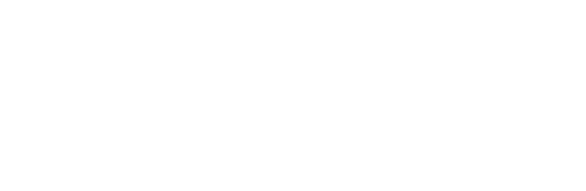 CHESAPEAKE AEROSPACE ENGINEERING, INC. logo